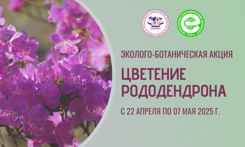 Примите участие в эколого-ботанической акции «Цветение рододендрона»