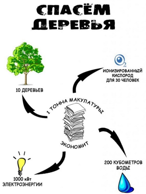 Акция по сбору макулатуры «Спасем деревья»
