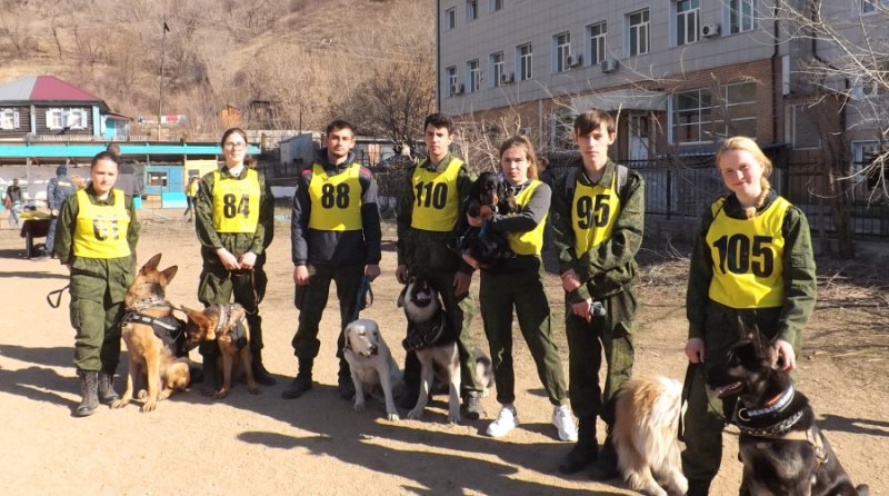 Соревнования по общему курсу дрессировки собак «Кубок Клуба Альфа»